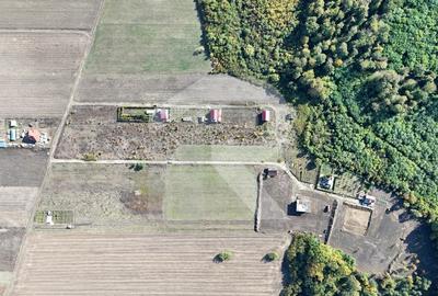 Refugiu la marginea padurii 1000 mp de liniste in Cocani - 3