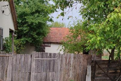 Casă cu Teren 3950 Mp în Bacău de Mijloc - 5