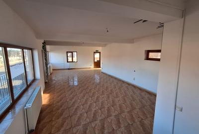 Spațiu comercial, de 100 mp, în Valu lui Traian - 2