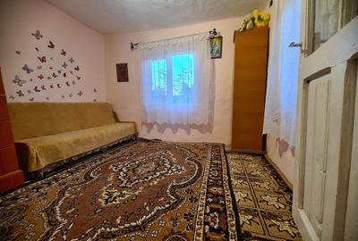 Casă cu 3 camere cu Teren 2100 Mp în Scorțaru Nou - 6