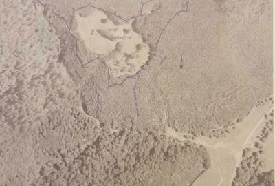 Teren de 35000 mp, în Borod - 6