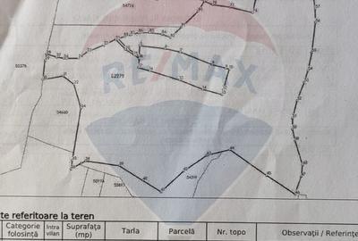 Teren 130000 mp extravilan Munteni - Bulz, Negreni - 12