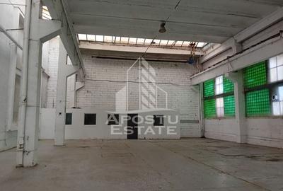 Spațiu industrial, de 620 mp, în Sânnicolau Mic - 3