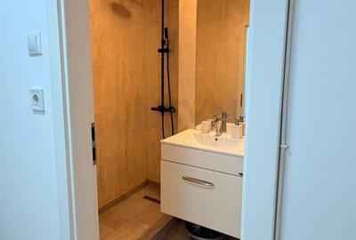Apartament cu 2 camere decomandat, mobilat în Lujerului - 11