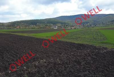 Teren intravilan de 5000 mp, în Bicfalău - 6