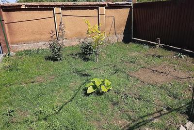 Casă cu Teren 1347 Mp în Nădab - 1