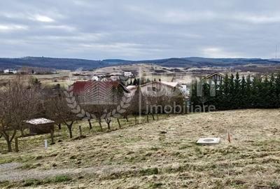 Teren Construcții intravilan de 1122 mp, în Borhanci - 1