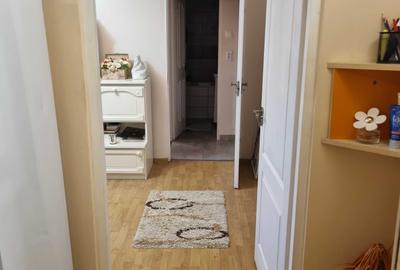 Apartament cu 2 camere semidecomandat în Bejan - 3