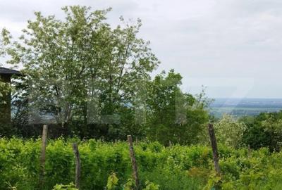 Casă cu 7 camere cu Teren 6700 Mp în Central - 2