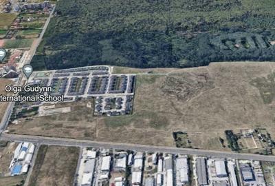 Teren Voluntari Padurea Baneasa Teren Voluntari Padurea Baneasa - 3