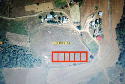 Casă cu Teren 30 Mp în Arieșeni - 8