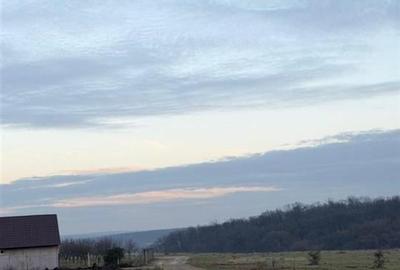 Teren Pausa langa padure - 1