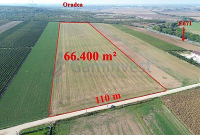 Gaminvest Teren intravilan de vanzare, 66400 mp, langa Oradea, Bihor ,V4117 - 1