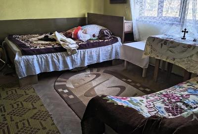 Casă cu 3 camere cu Teren 2900 Mp în Gavojdia - 2