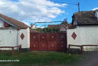 Casă cu 2 camere în Central - 2