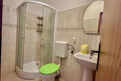 Apartament la mansarda, zona Garii - 6