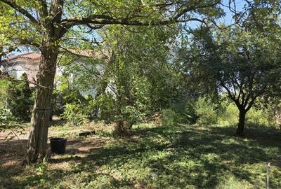 Vanzare teren cu deschidere la lac, zona Ciofliceni - Sangov. - 5
