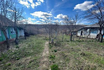 Casă cu 2 camere în Central - 4