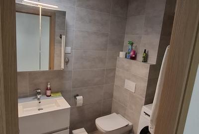 Apartament cu 2 camere decomandat, mobilat în Drumul Taberei - 14