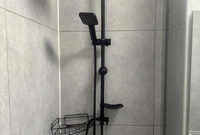 Lacul Tei, langa Facultatea de Constructii Lacul Tei, langa Facultatea de Constructii - 3