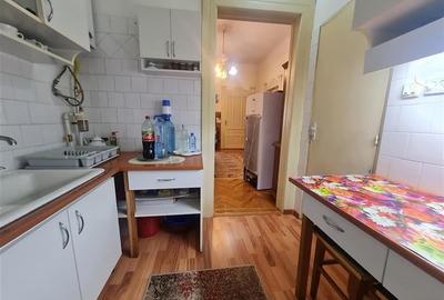 Poveste saseasca la umbra vitei de vie, cu crama si gradina cu flori, Central Co - 38