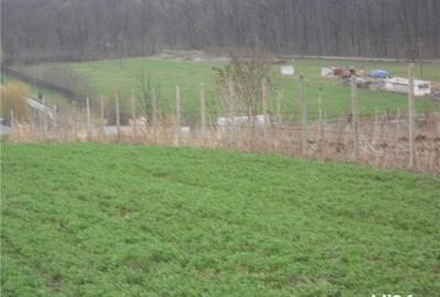 Teren de 4900 mp, în Central - 2