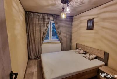 Apartament cu 2 camere semidecomandat, mobilat în Brazda lui Novac - 3