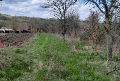 Teren de 2360 mp, în Romos - 6