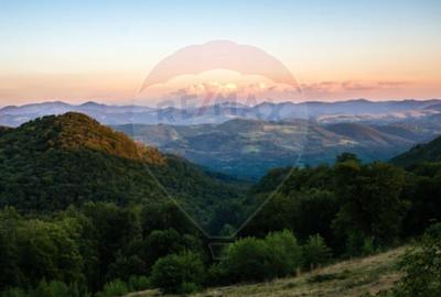 Vanzare Padure 2200 hectare in Romania - 4