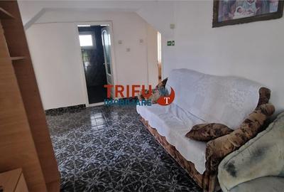 Casa de vanzare 9 camere 878 mp teren zona Barabant - 11
