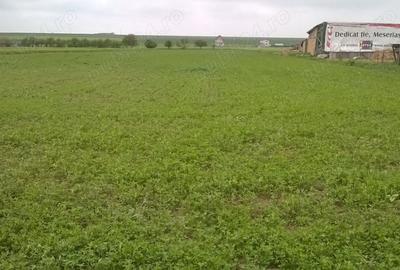Teren de 7500 mp, în Central