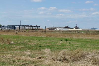 Teren intravilan industrial – Tomești, zona Contom - 3