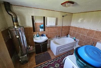 De vanzare Teren intravilan cu casa si anexe in Bucovina Moldova Sulita - 9