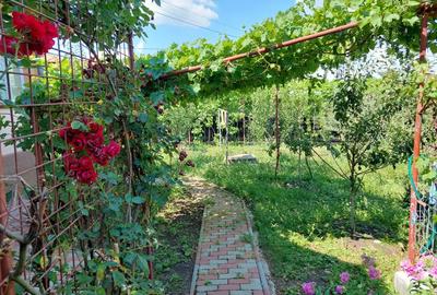 Vand casa in Valea Larga - 4