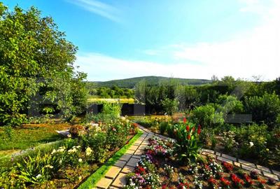 Casă cu 5 camere cu Teren 1000 Mp în Bucium - 8