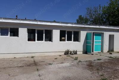 Spațiu comercial, de 350 mp, în Orțișoara - 2