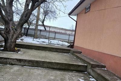Casă cu 4 camere cu Teren 6000 Mp în Havârna - 8