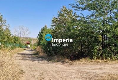 Teren intravilan de vanzare in Iasi, amplasat in zona Holboca-Ruseni - 6