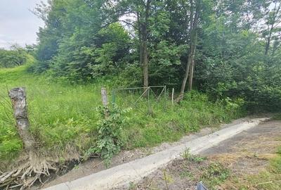 Teren intravilan lângă pădure – 1659 mp,  C.U. P+2E, Vărbilău - 10
