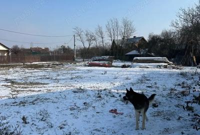 Casa si teren de vanzare - 7