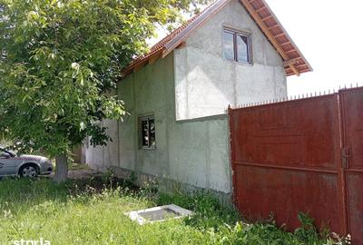 Casă cu 1 camere cu Teren 1500 Mp în Bârsa - 6