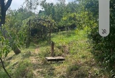 Teren intravilan compus din doua loturi. Unul 2580 mp cu casa de locuit de 52 mp Teren intravilan compus din doua loturi. Unul 2580 mp cu casa de locuit de 52 mp - 3