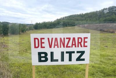 Teren extravilan de vanzare, 5.800 mp, zona Manole?ti-Boto? Teren extravilan de vanzare, 5.800 mp, zona Manole?ti-Boto? - 2
