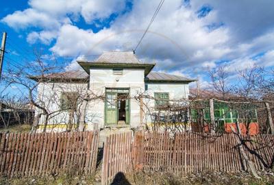 Casa traditionala argeseana cu teren generos - comuna Vedea, jud. Arges - 2
