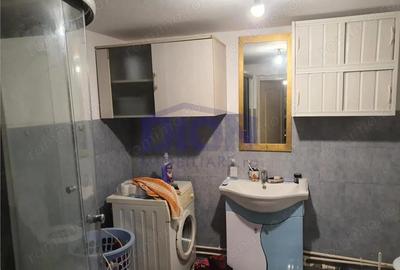 Pantelimon - Tuborg - 1