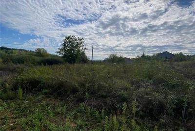 RECO Teren intravilan Paleu 647mp cu Utilitati inclusiv Gaz - 3