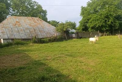 Teren intravilan,Stefan cel Mare( Carligi) - 4