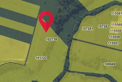 Teren de 5000 mp, în Pănicel - 2