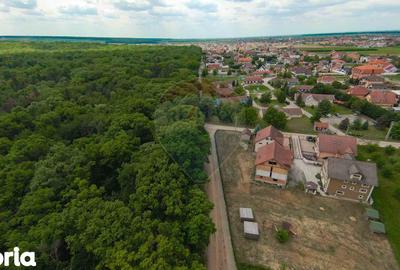 Spațiu comercial, de 379 mp, în Sânmartin - 19