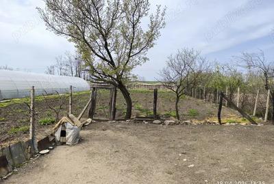 Vand teren 1900mp cu casa batraneasca locuibila Vand teren 1900mp cu casa batraneasca locuibila - 6